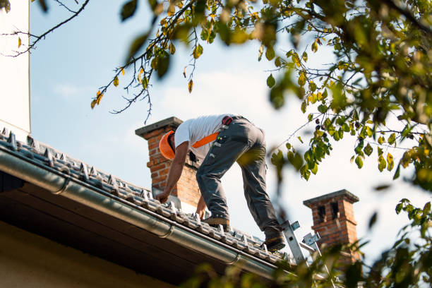 Best Roof Gutter Cleaning  in Cordes Lakes, AZ